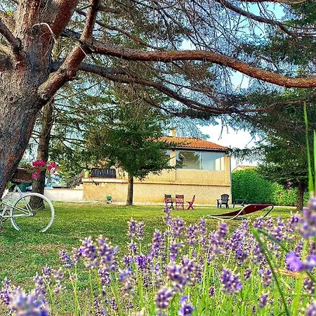 Domelia Villa